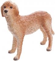 Beswick - Labradoodle Cream JBD77